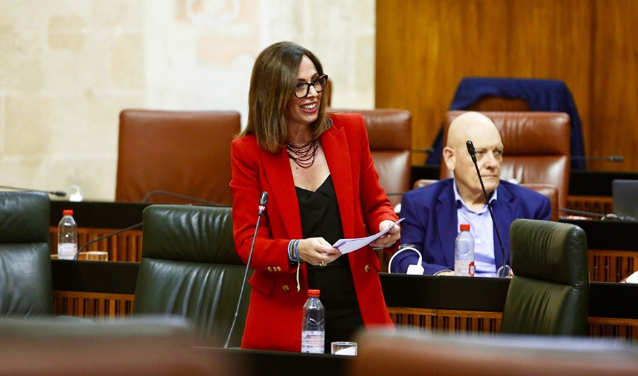 Rocío Díaz durante su intervención en el Parlamento andaluz